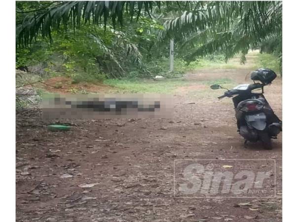 Keadaan mayat mangsa yang ditemui di ladang kelapa sawit di Kampung Parit Muhammad Laut, Parit Sulong, Batu Pahat