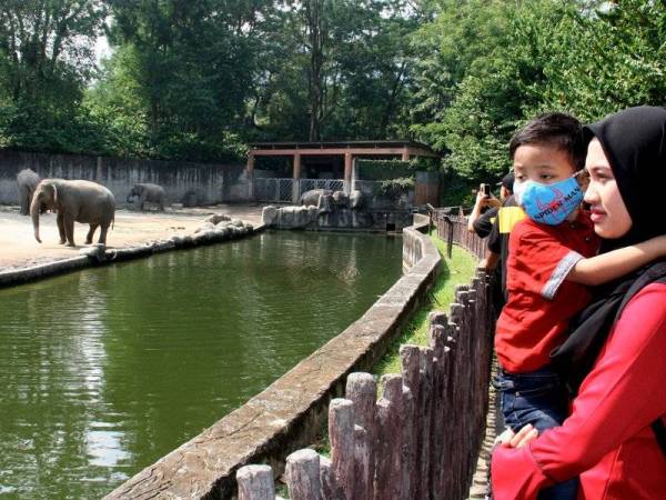 Pesakit kanser leukemia kronik, Annas Mikail Abdullah, 3, didukung ibu saudaranya Nur Syafiqah Zainal Abidin melihat beberapa ekor gajah ketika mengunjungi Zoo Taiping & Night Safari hari ini. Foto: Bernama