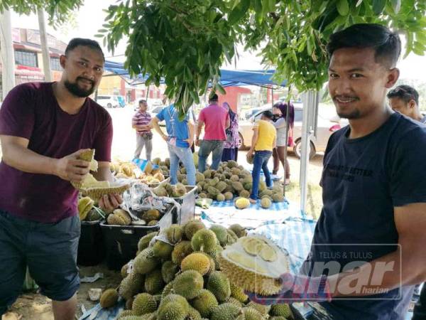 Abang Mohd Azli, Mohd Azman (kiri) dan adiknya, Abadillah menunjukkan isi durian yang dijual dengan harga RM10 sekilogram di gerai Mohd Azli di Kampung Raja hari ini.