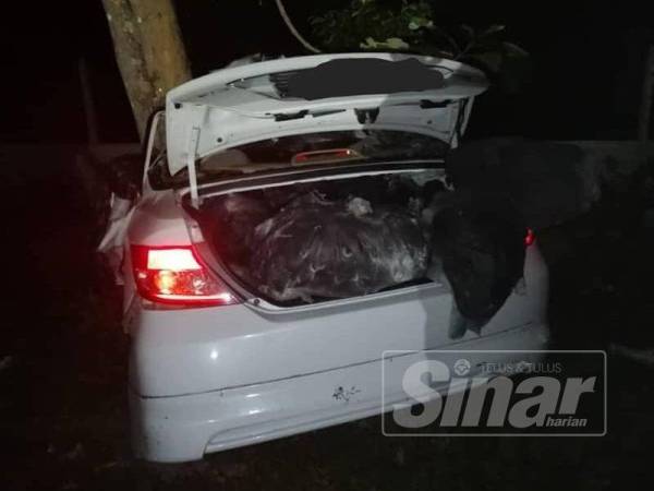 Polis menemui 450 kg daun ketum dalam kereta suspek yang remuk akibat merempuh sebatang pokok di Bukit Wang di sini, semalam.