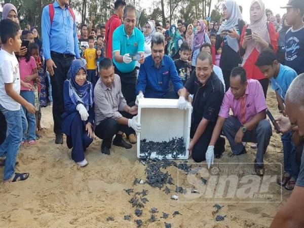 Zawawi (depan, tiga kanan) bersama Abdul Manan (depan, dua kanan) melepaskan anak penyu di pantai The Qamar Resort Paka, Dungun petang semalam.