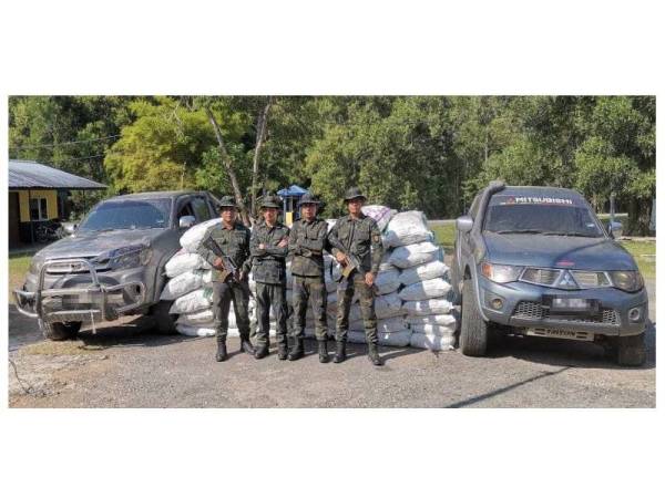 Anggota polis bersama daun ketum yang dirampas di Felcra Lubok Sireh petang semalam.