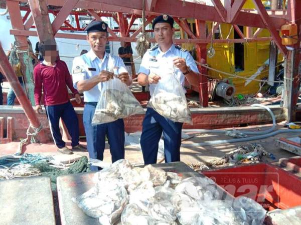 Rashidilhadi memeriksa hasil tangkapan ikan dari bot yang ditahan.