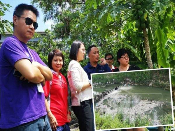 Jamaliah (tiga dari kanan) ketika turun padang meninjau keadaan di sungai terbabit. Gambar kecil, banyak ikan dalam Sungai Kayu Ara didapati mati selepas dipercayai tercemar. - Foto Facebook Jamaliah Jamaluddin