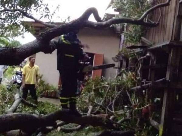 Kejadian ribut menyebabkan banyak rumah mengalami kerosakan pada bahagian bumbung.