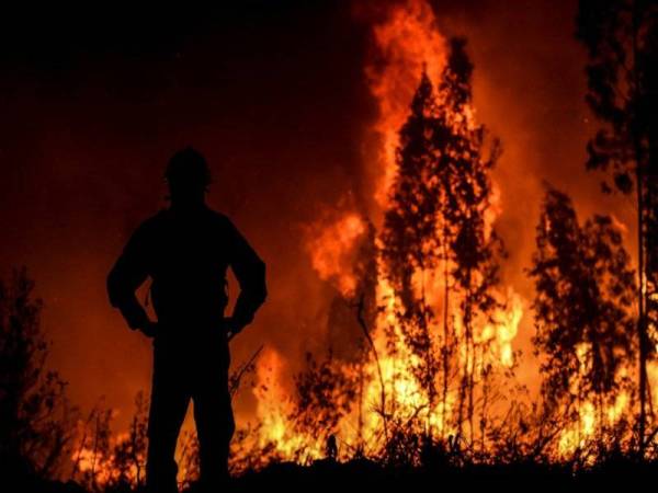 Seorang anggota bomba melihat keadaan kebakaran hutan di Amendoa, tengah Portugal. -Foto AFP