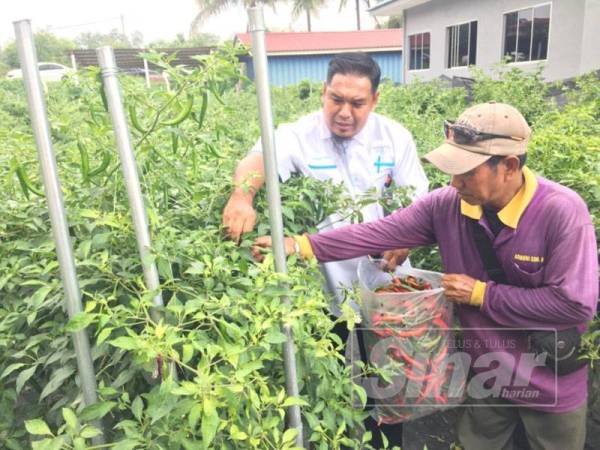 Terbaru 11 Iklan Jawatan Sarawak Oil Palms Berhad Dbjobasia Com Terbaru Jawatan Dibuka