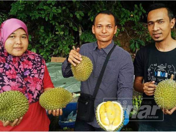 Nasrul (tengah) menunjukkan isi musang king yang dijual dengan harga bermula RM20 hingga RM40 sekilogram.