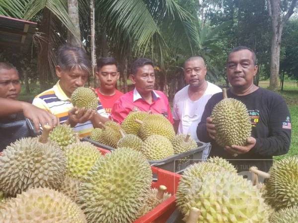 Jabatan Pertanian Terengganu Sinar Harian