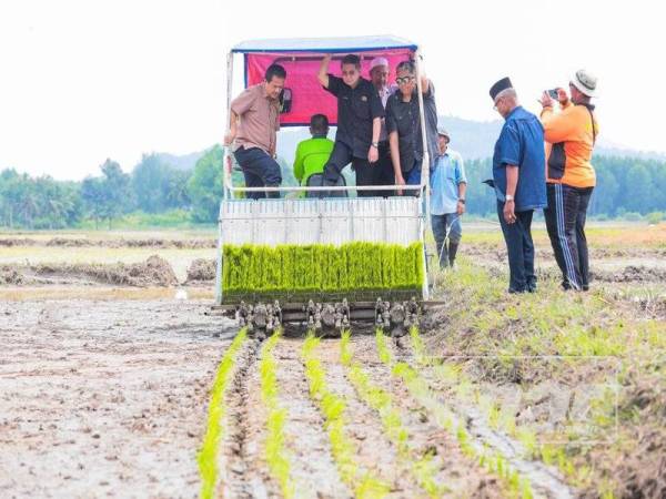 Salahuddin (dua, kiri) meninjau proses semaian padi pulut jenis siding ketika merasmikan program turun padang ke projek pilot Tanaman Padi Pulut di Kampung Ayer Hangat di sini hari ini.