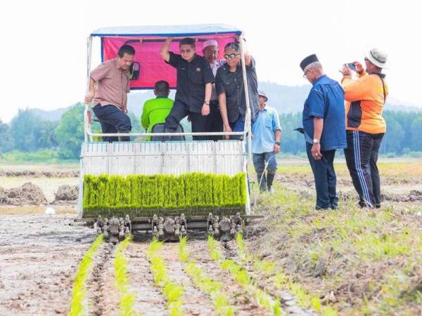 Salahuddin menyempurnakan gimik proses penyemaian benih padi pulut.