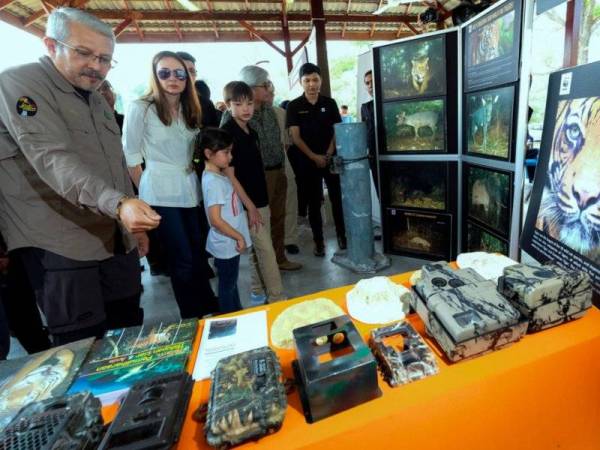 Tuanku Zara Salim (dua dari kiri) berkenan mendengar penerangan daripada Mohamed Shah Redza (kiri) ketika baginda melawat pameran pada Program Perbadanan Taman Negeri Perak-Hari Harimau Sedunia 2019 di Taman Inai hari ini. - Foto BERNAMA