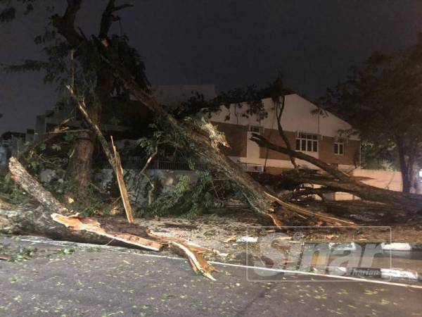 Pokok tumbang menghempap sebuah rumah di kawasan Greenlane dalam kejadian ribut malam ini.