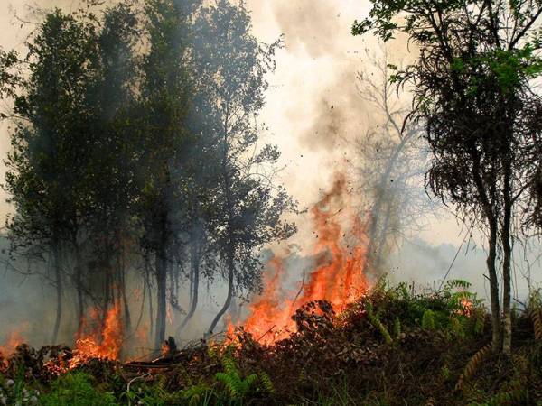 Kebakaran hutan dan kawasan pertanian pada 2015 pernah mencetuskan konfrontasi serantau.