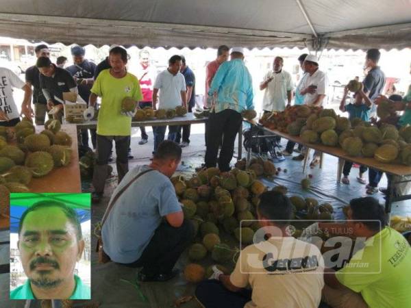 Program Cekoh Duyan di Dataran Kuala Ping, Hulu Terengganu menyediakan hampir 1,000 biji durian percuma kepada orang ramai. Gambar kecil Mohd Safari 