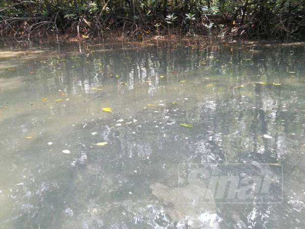 Keadaan air di laluan masuk ke Sungai Daing.