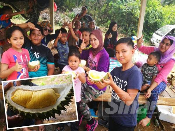 Cucu Wahab, Muhammad Hakim Adha Lukman, 5, (kanan) menunjukkan buah durian yang mendapat permintaan tinggi ditanam datuknya. (Gambar kecil, durian Jerung mendapat permintaan tinggi malah kawasan itu dikenali sebagai pengeluar buah durian terbaik.)