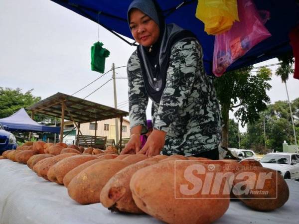 Siti Khadijah menjual dua hingga tiga biji binjai bersaiz agak besar bagi setiap longgok pada harga RM10.