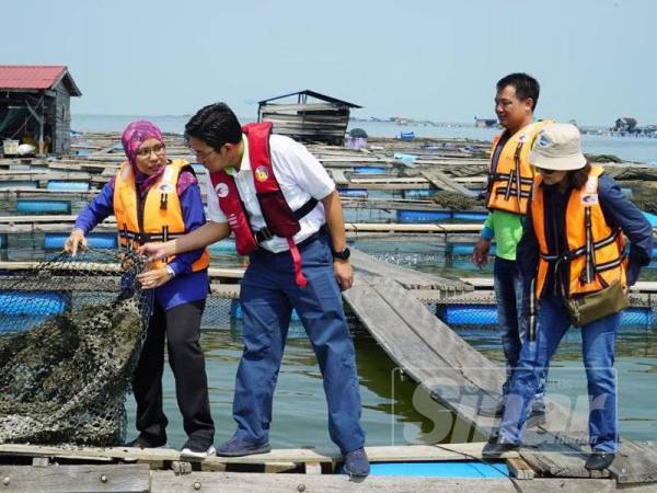 Tze Tzin (kanan) ketika meninjau keadaan sangkar ikan yang rosak selepas kejadian taufan lekima yang melanda negeri ini pada 9 Ogos lalu.