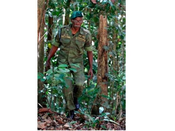 Bekas Komando Paul Karpaya, 67, bersemangat meredah hutan belantara mengimbau kenangannya dalam operasi yang tidak boleh dilupakan ketika menjejak dan berdepan dengan serangan komunis dalam Ops Selamat Sawadee di sempadan Perak dan Thailand hari ini. - Foto Bernama