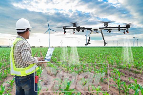 PETANI masa kini sudah menggunakan dron untuk memudahkan kerja pertanian.