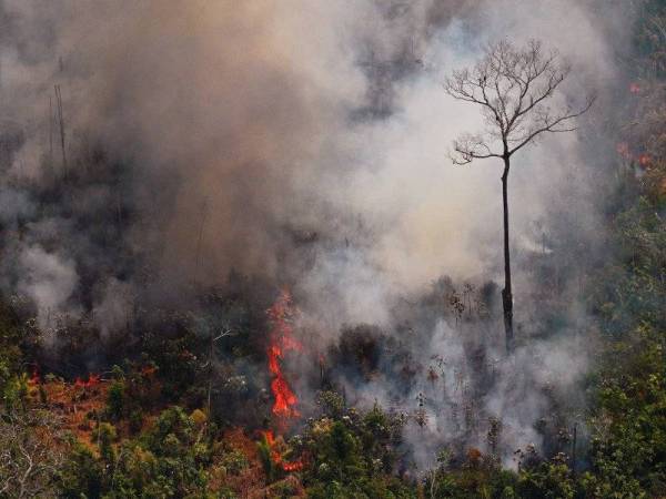 Pemandangan udara kebakaran di hutan hujan Amazon kira-kira 65 kilometer dari Porto Velho, Rondonia semalam. - Foto AFP