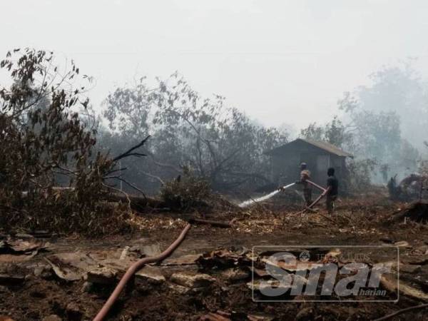 Anggota bomba ketika memadamkan kebakaran di hutan berkenaan.