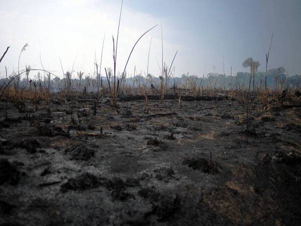 Kawasan di hutan hujan Amazon berhampiran Porto Velho di Rondonia yang musnah terbakar.