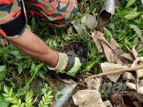 Bomba menyelamatkan anak kucing yang terperangkap dalam lubang paip sedalam dua meter hari ini.