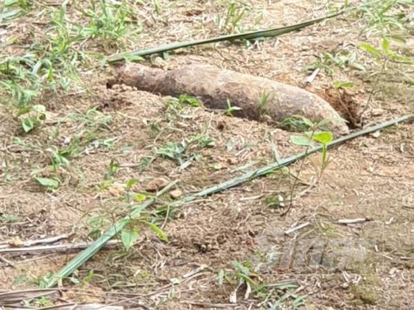 Bom lama dipercayai dari zaman perang dunia ditemui di ladang Blok 11 Felda Semenchu.