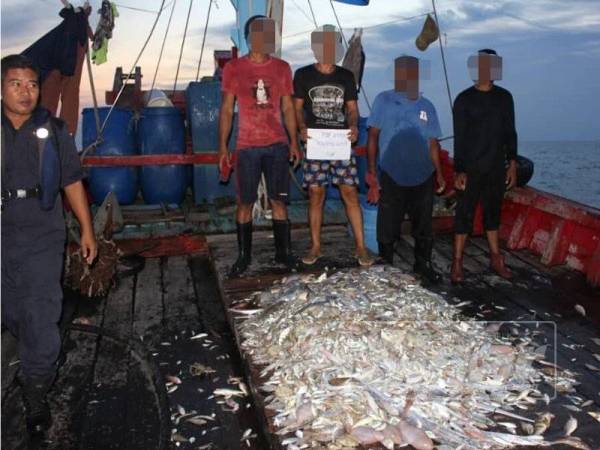 Empat nelayan bersama hasil tangkapan ditahan menceroboh dan menunda ikan di kawasan yang tidak dibenarkan.