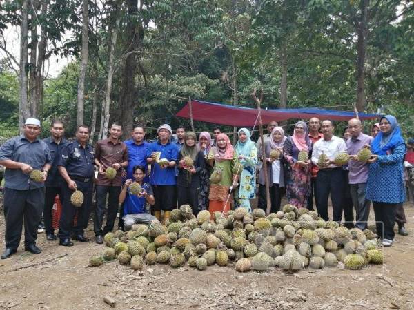 Lebih 1,000 biji durian dijamu secara percuma sempena program Makan Durian Bersama Jabatan / Agensi Kerajaan Peringkat MPKK Payang Kayu di Kampung Payang Kayu, Hulu Terengganu.