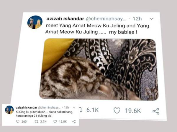 Tunku Azizah berkongsi gambar kucingnya di Twitternya semalam. (Gambar kecil: Menerusi Twitter yang dimuat naik oleh Tunku Azizah semalam.)