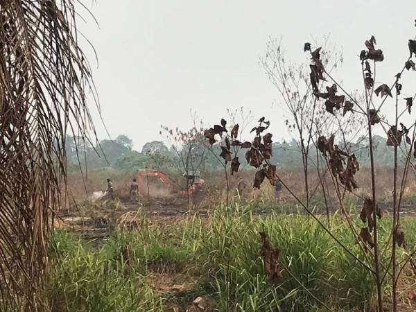 Operasi pemadaman ladang tanah gambut di Jalan Johor-Pontian ditamatkan pada hari ke-13 kelmarin. Foto: Jabatan Bomba dan Penyelamat