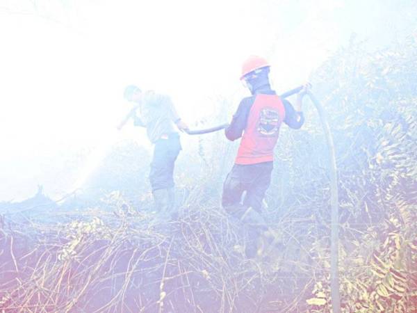 Anggota bomba kini berhempas-pulas mengawal kebakaran hutan di Kampar. - Foto: AFP