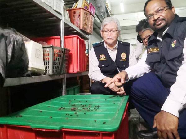 Veerapan menunjukkan najis tikus di atas bekas simpanan peralatan dapur.