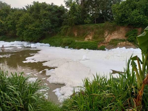 Buih di Sungai Skudai dirakamkan pagi tadi. - Kredit Chai Pin Kang