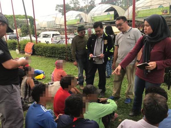 Antara warga asing yang ditahan dalam Operasi Bersepadu di kawasan kebun sayur di Bukit Beruntung, Rawang dan pusat penanaman rumput dan nurseri pokok bunga di Pusat Kawalan Kusta Negara, Sungai Buloh pagi tadi.