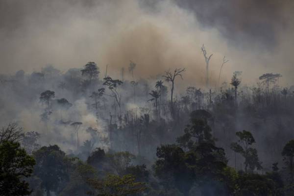 Kepulan asap dilihat selepas hutan di Altamira Brazil terbakar hujung bulan lalu.- Foto: AFP