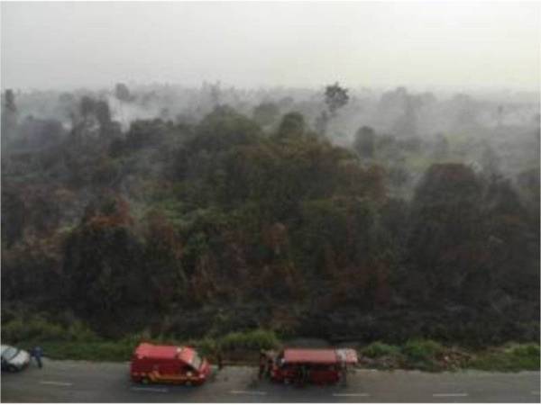 Tinjauan dari udara kebakaran hutan seluas 25 hektar yang berlaku di Kampung STC, Sri Aman baru-baru ini. -Foto Bernama