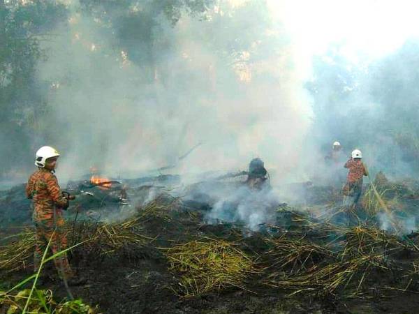 Anggota bomba memadam kebakaran belukar berhampiran sebuah sekolah kelmarin.