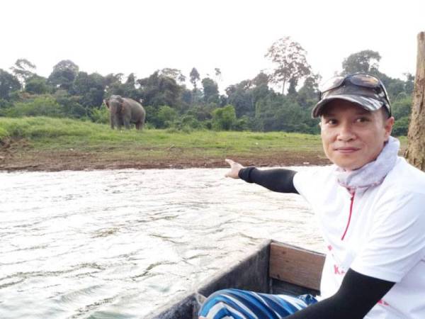 Mohd Suwardi menunjukkan antara gajah yang pernah terserempak dengannya ketika mengikuti aktiviti memancing di Tasik Kenyir.