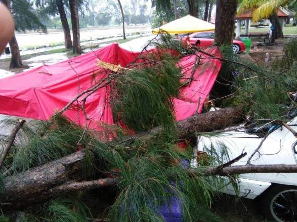 Kanopi dan kereta Mazuari rosak dihempap batang pokok dalam kejadian ribu petang Selasa lalu.