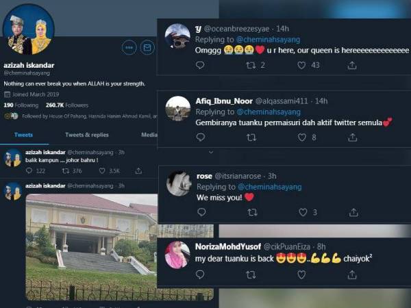 Netizen teruja apabila baginda aktif semula di Twitter.