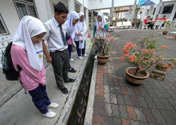 Para pelajar melihat Ikan Tilapia Merah yang dibela di dalam longkang Sekolah Menengah Kebangsaan Pinji hari ini. -Foto Bernama