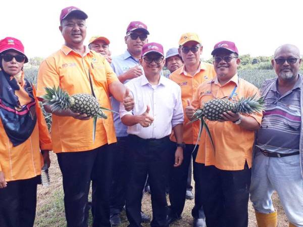 Adnan (dua dari kiri) bersama rombongan FAMA menunjukkan buah nanas MD2 yang menunggu masa untuk dituai di ladang nanas Ber One Agro Sdn Bhd di Kampung Padang Satu Changlun. Turut kelihatan Zulkafli (kanan).