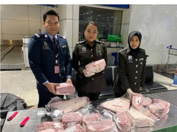 Sebanyak 50kg daging Wagyu dari Jepun yang dibawa masuk ke negara ini tanpa dokumen yang sah dirampas di KLIA Selasa lalu.