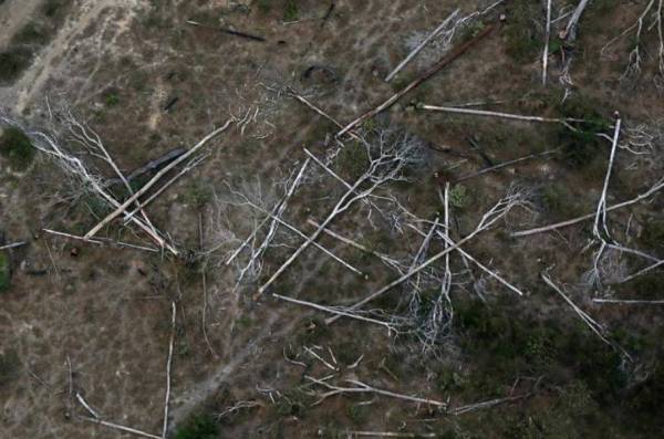 Kemusnahan hutan di Porto Velho, Rondonia State, Brazil.- Reuters