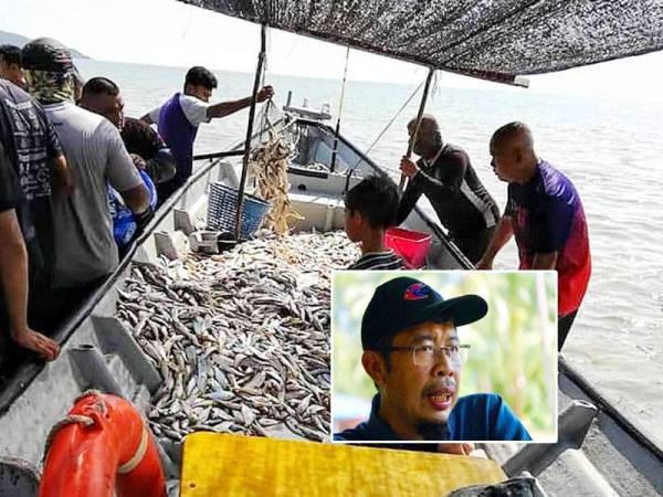 Gambar ikan gelama yang dinaikkan nelayan sebelum dijual secara borong kepada orang ramai yang dikongsi netizen melalui media sosial Facebook semalam.
Gambar kecil: Azahari