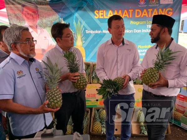 Tze Tzin (dua dari kiri) diberikan taklimat berkaitan nanas MD2 di Ladang Nanas Aqina Plantation Sdn Bhd ketika lawatannya kelmarin.